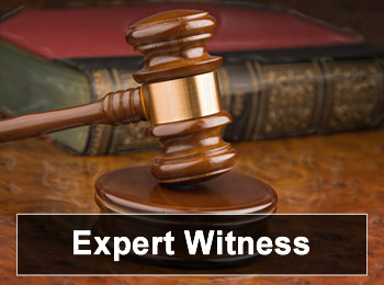 Expert Witness in the Courtroom